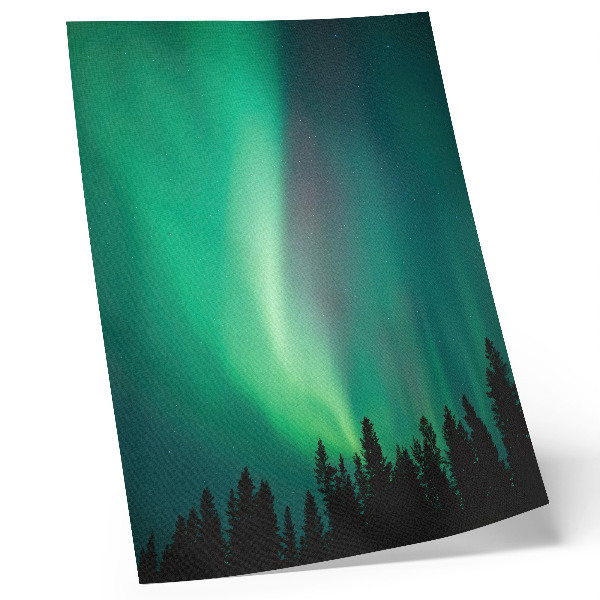 Wandposter Aurora, groene bomen, nacht, magische natuur