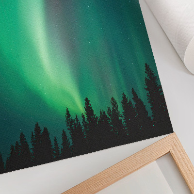 Wandposter Aurora, groene bomen, nacht, magische natuur