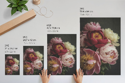 Decoratieve poster Veelkleurige pioenrozen op een donkere achtergrond