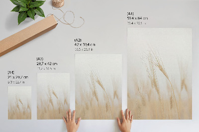 Decoratieve poster Minimalistische elegantie van graanaren