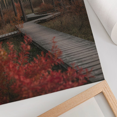 Decoratieve poster Houten pad, bosbomen, herfstkleuren