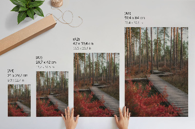 Decoratieve poster Houten pad, bosbomen, herfstkleuren