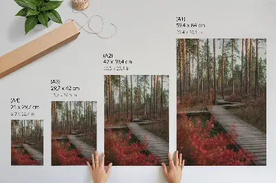 Decoratieve poster met een houten pad in een bos met herfstkleuren
