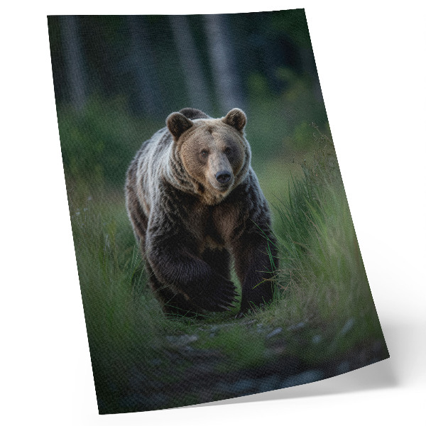 Poster Een trotse beer in een bosrijke omgeving.