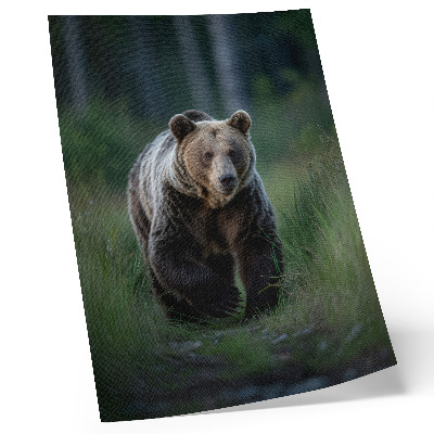 Poster Een trotse beer in een bosrijke omgeving.