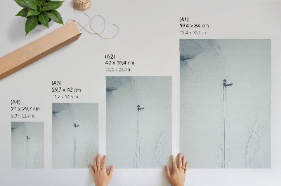 Decoratieve poster Een eenzame skiër in een besneeuwde woestijn