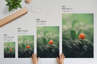 Wandposter Oranje bessen op een groene achtergrond