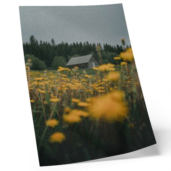 Poster Rustiek huisje, bos, gele bloemen, wazig