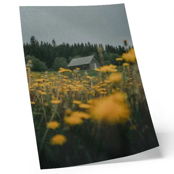 Poster rustiek huisje in het bos met gele bloemen en een wazige uitstraling
