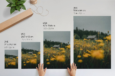 Poster Rustiek huisje, bos, gele bloemen, wazig