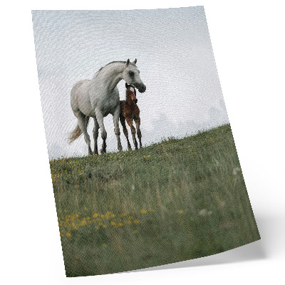 Decoratieve poster De schoonheid van de natuur met het rustgevende schouwspel van paarden.