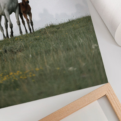 Decoratieve poster De schoonheid van de natuur met het rustgevende schouwspel van paarden.