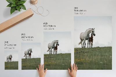 Decoratieve poster De schoonheid van de natuur met het rustgevende schouwspel van paarden.