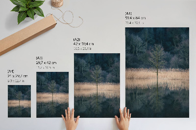 Wandposter Weerspiegeling van een enkele boom in de mist van het meer