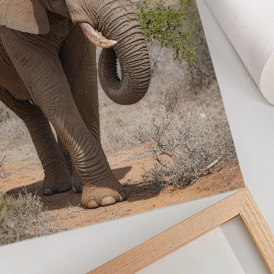 Poster Olifant op de savanne, majestueuze Afrikaanse natuur