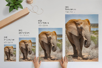 Poster Olifant op de savanne, majestueuze Afrikaanse natuur