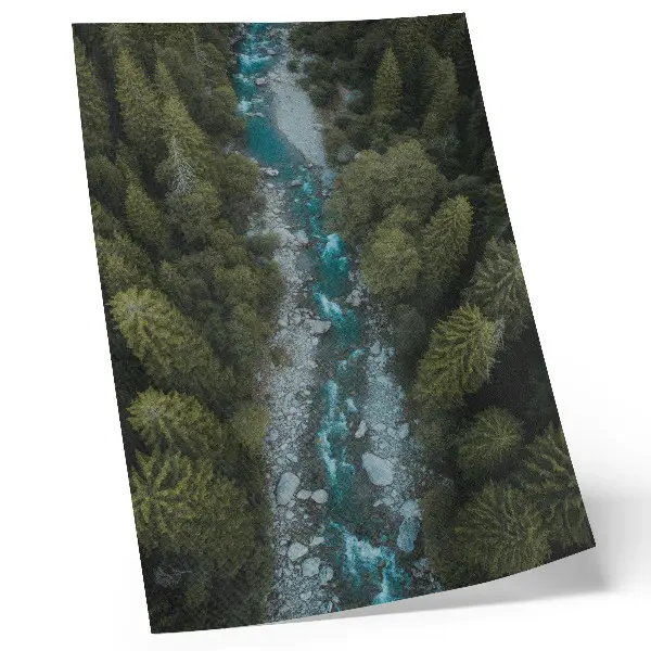 Decoratieve poster met een natuurlijke harmonie van een groene bosrivier