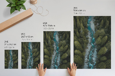 Decoratieve poster Groene bosrivier, natuurlijke harmonie