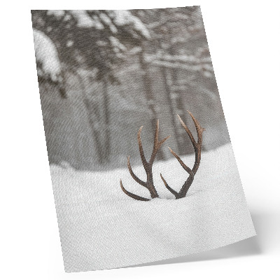 Decoratieve poster Winterlandschap met geweien in de sneeuw