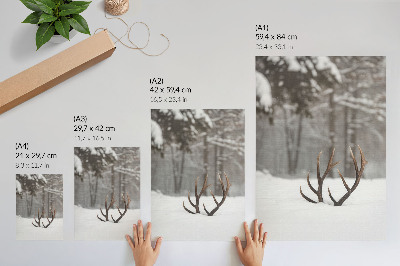 Decoratieve poster Winterlandschap met geweien in de sneeuw