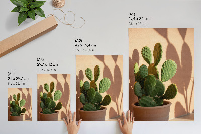 Decoratieve poster Cactus in een pot, schaduwen, delicate kleuren, rustgevend