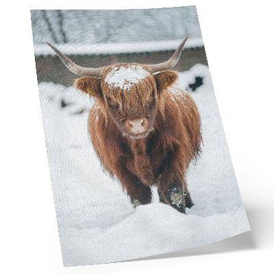 Wandposter Runderen in de sneeuw: het contrast tussen dier en natuur