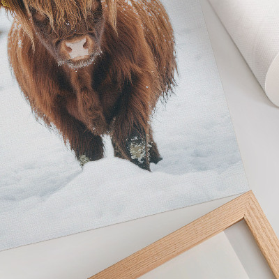 Wandposter Runderen in de sneeuw: het contrast tussen dier en natuur