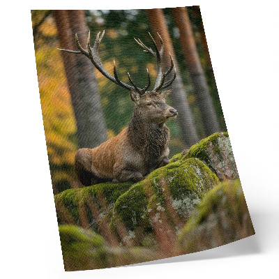 Poster Een majestueus hert in een bosrijke omgeving.
