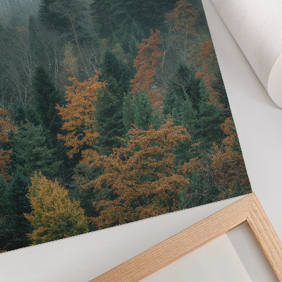 Decoratieve poster Groene bomen, mist, oranje bladeren, vrede