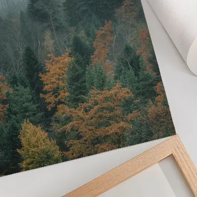 Decoratieve poster met bomen in een mistig bos met oranje herfstbladeren