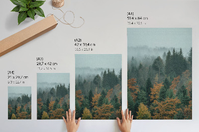 Decoratieve poster Groene bomen, mist, oranje bladeren, vrede