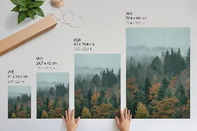 Decoratieve poster met bomen in een mistig bos met oranje herfstbladeren