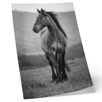 Wandposter Een charmant paard vol energie en elegantie.