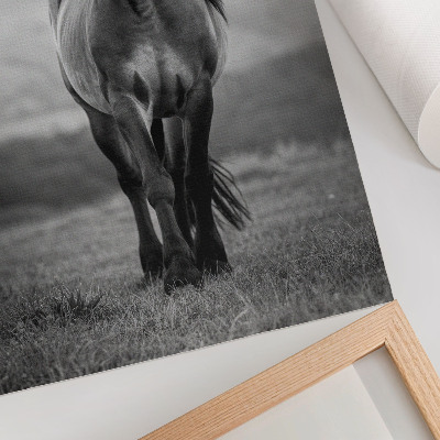 Wandposter Een charmant paard vol energie en elegantie.