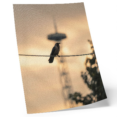 Poster Vogel op een draad, avondlucht, delicate achtergrond