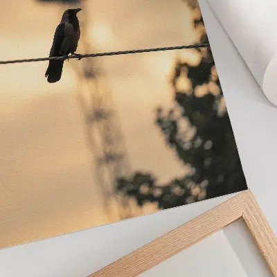 Poster vogel op een draad tegen een delicate avondlucht