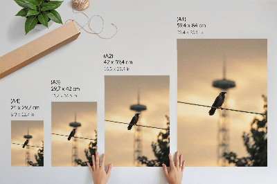 Poster Vogel op een draad, avondlucht, delicate achtergrond