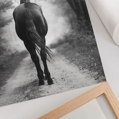 Poster Zwart-wit paard in het bos (fotografie)