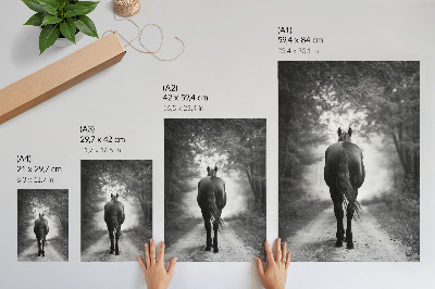 Poster Zwart-wit paard in het bos (fotografie)