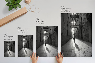 Decoratieve poster Zwart-witfotografie van een straat met architectuur.