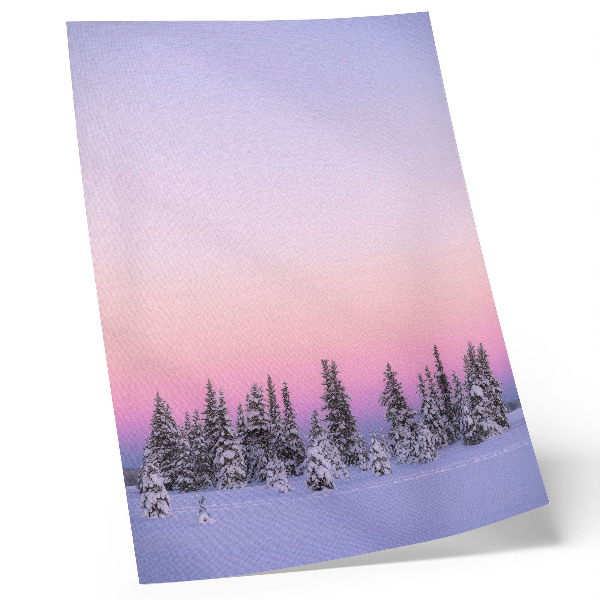 Poster Winterse bomen, stemmige pastelkleurige lucht, rust