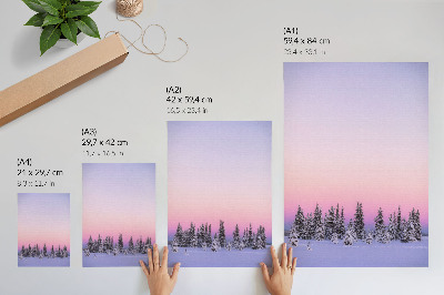 Poster Winterse bomen, stemmige pastelkleurige lucht, rust
