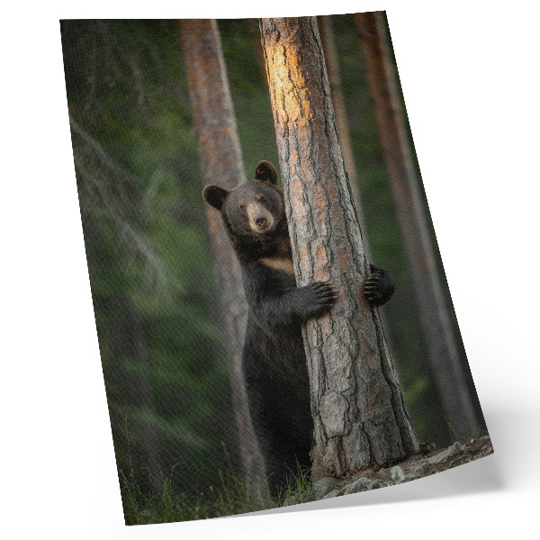 Wandposter Een beer in het bos, realistische compositie.