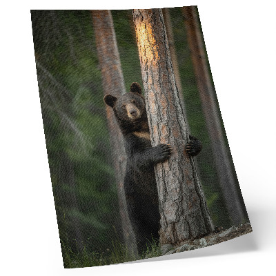 Wandposter Een beer in het bos, realistische compositie.