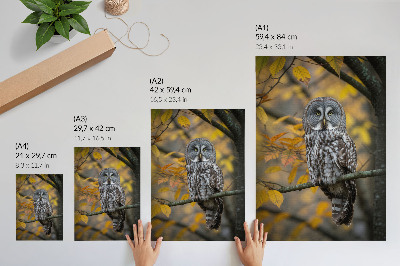 Wandposter Uil op een tak met gele bladeren
