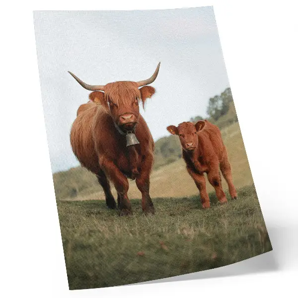 Decoratieve poster rustiek vee in een groene bosrijke omgeving