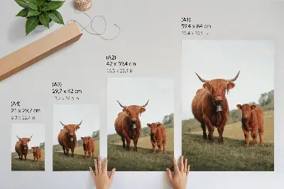 Decoratieve poster rustiek vee in een groene bosrijke omgeving