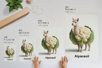 Decoratieve poster Een ongebruikelijke combinatie van alpaca en bloemkool