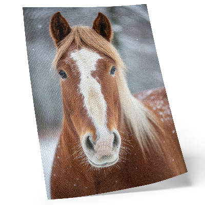 Wandposter Paardenportret winter rust natuurlijkheid harmonie