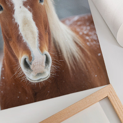 Wandposter Paardenportret winter rust natuurlijkheid harmonie